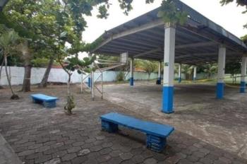 Alumnos en peligro, temen caída de árboles en escuela de Boca del Río