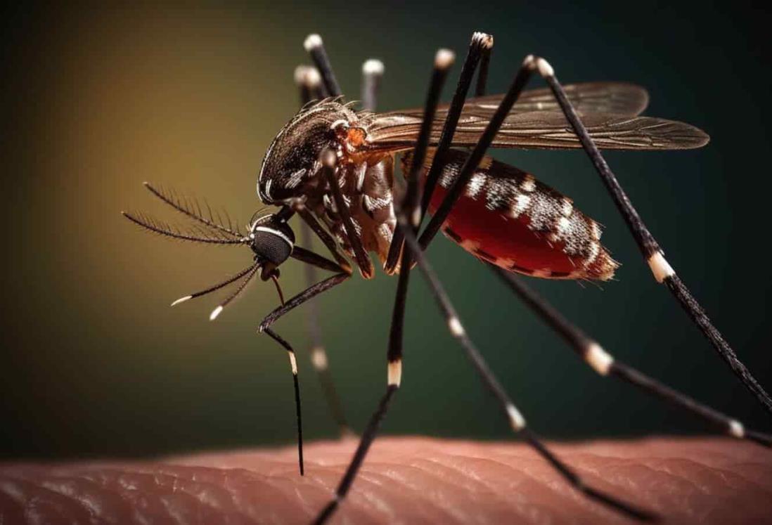 Dengue en Veracruz sigue al alza; van 19 muertes; es primer lugar nacional