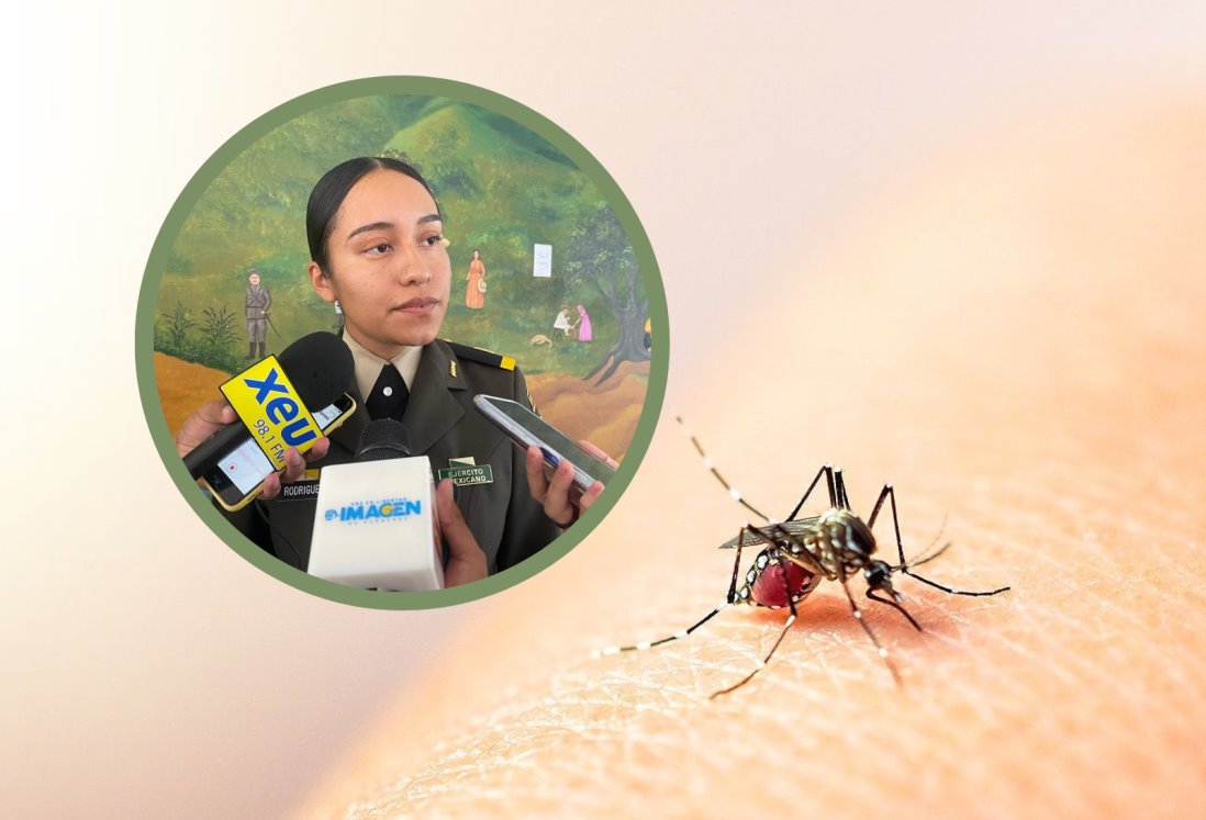 Aumentan los casos de dengue en elementos de la Sedena en Veracruz