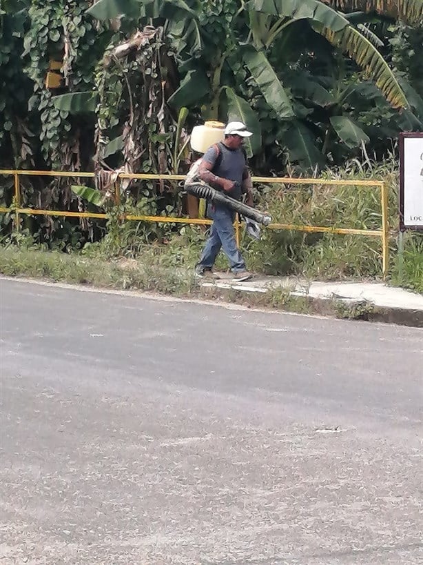 En comunidad de Misantla se unen para combatir el dengue