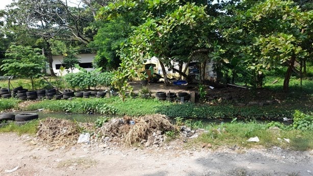 Crimen en casa abandonada en Veracruz; hombre con machete huyó, dicen testigos