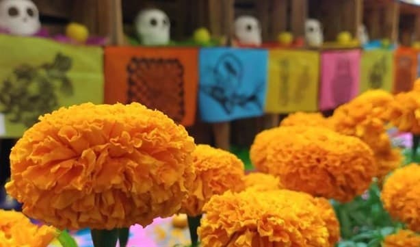 Día de muertos: ¿Desde cuándo se pone el altar?