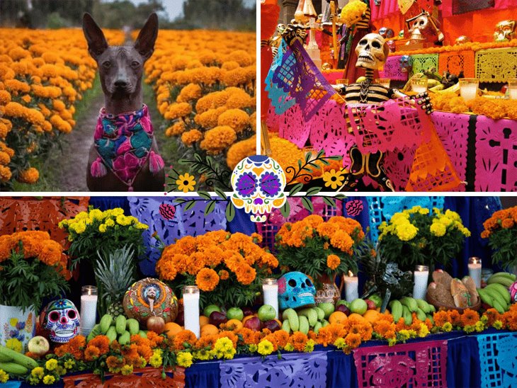 Día de muertos: ¿Desde cuándo se pone el altar?