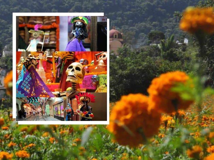 Actividades para el Día de Muertos cerca de Xalapa