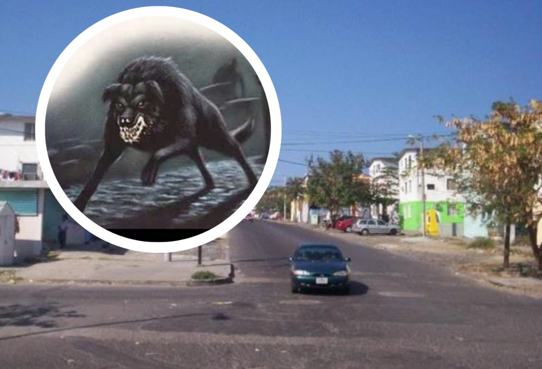 Esta es la leyenda del Médano del perro en Veracruz que se desconoce; ¡Te dará miedo!
