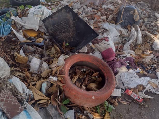 Denuncian basurero al aire libre en colonia Centro de Veracruz