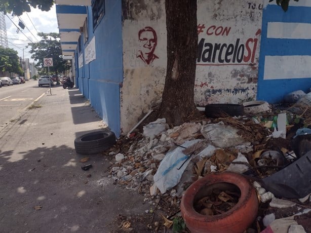 Denuncian basurero al aire libre en colonia Centro de Veracruz