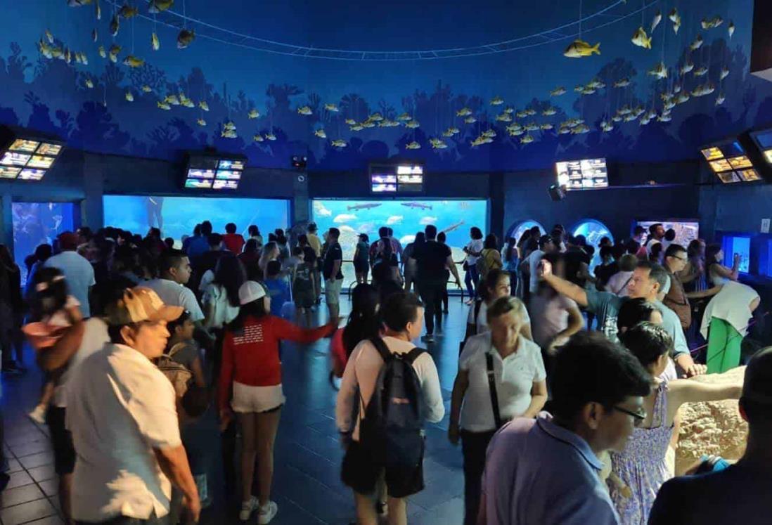 Aquarium de Veracruz instala centro de acopio para apoyar a Guerrero