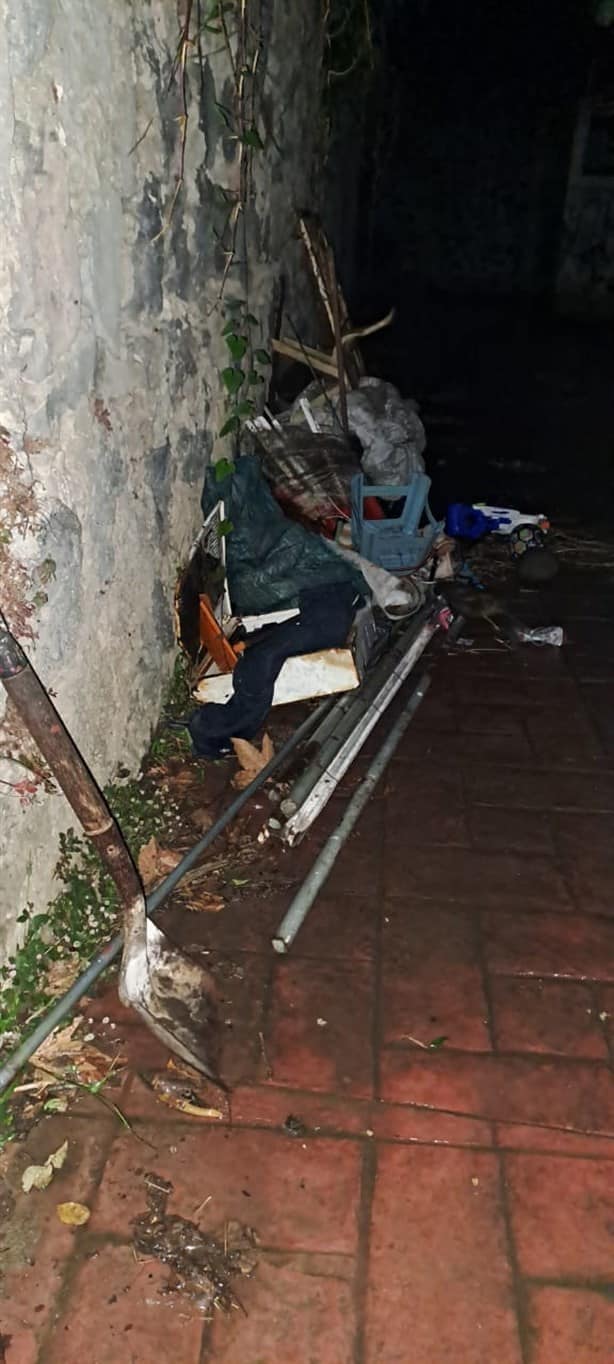 Vecinos atrapan a presunto ladrón en fraccionamiento Lucas Martín, en Xalapa