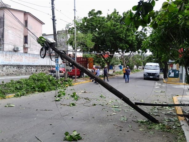 Norte violento derriba árboles y luminarias en Veracruz dañando casa y automóvil