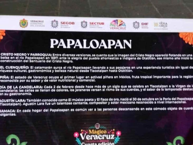 Culturas originarias y riqueza de regiones de Veracruz, en cráneos gigantes de Xalapa