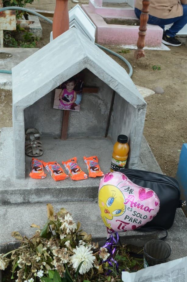 Mi niña murió por un mal tratamiento de garganta, narra Alma en su tumba