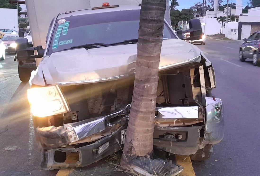 Camión de carga se estrella contra palmera en la colonia López Mateos, en Veracruz