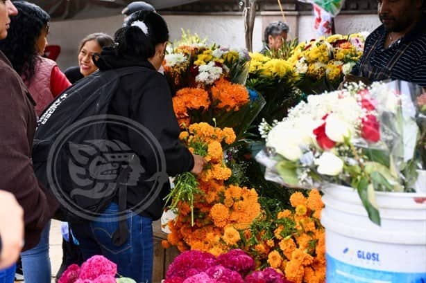 Flor de cempasúchil, protagonistas del Día de Muertos, da ‘vida’ a vendedores