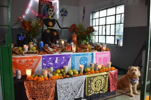 Día de Muertos: Familias abarrotan cementerios del centro de Veracruz