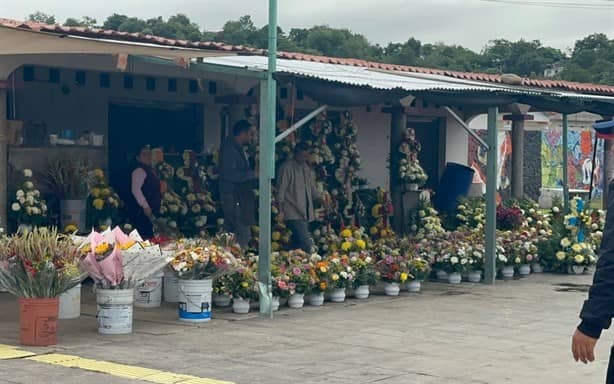 Repuntan ventas, sobre todo para ambulantes en Poza Rica