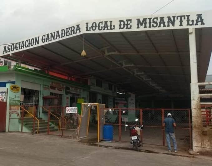 Hallan cerdo desmembrado en rancho ganadero en Misantla