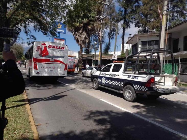 Con servicio de Gallos y Búhos, Ayuntamiento de Orizaba transgrede la ley, acusan