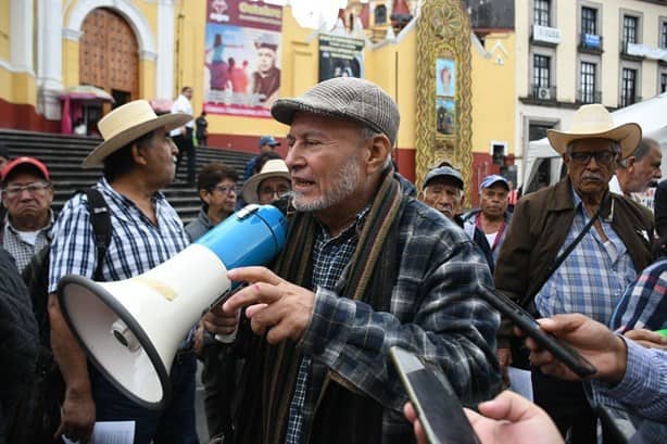 Crisis cafetalera en Coatepec: adelanta cosecha y precios en picada