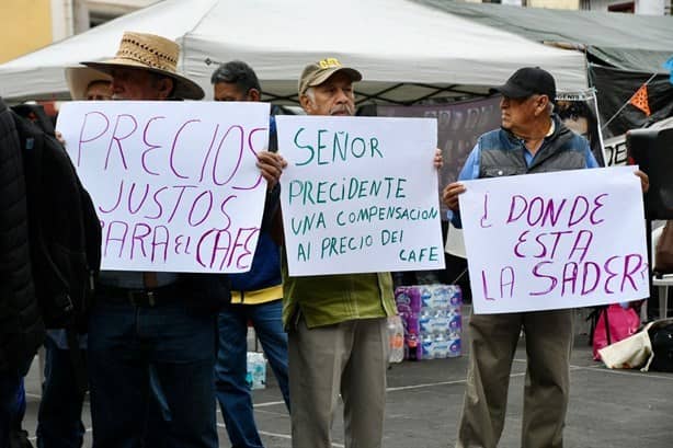 Crisis cafetalera en Coatepec: adelanta cosecha y precios en picada