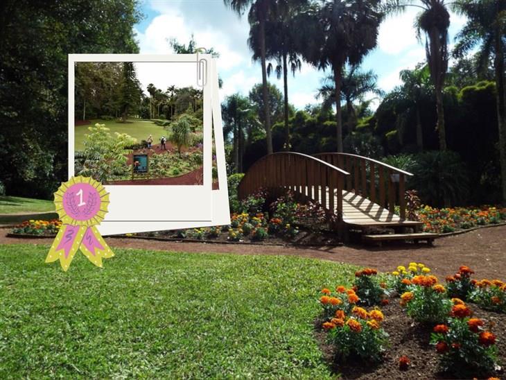 Jardín Botánico Clavijero recibe certificación internacional 