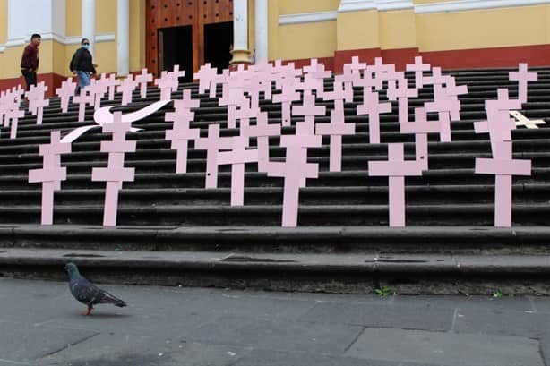 Desaparición de personas ha incrementado en Veracruz durante 2023, afirman (+Video)