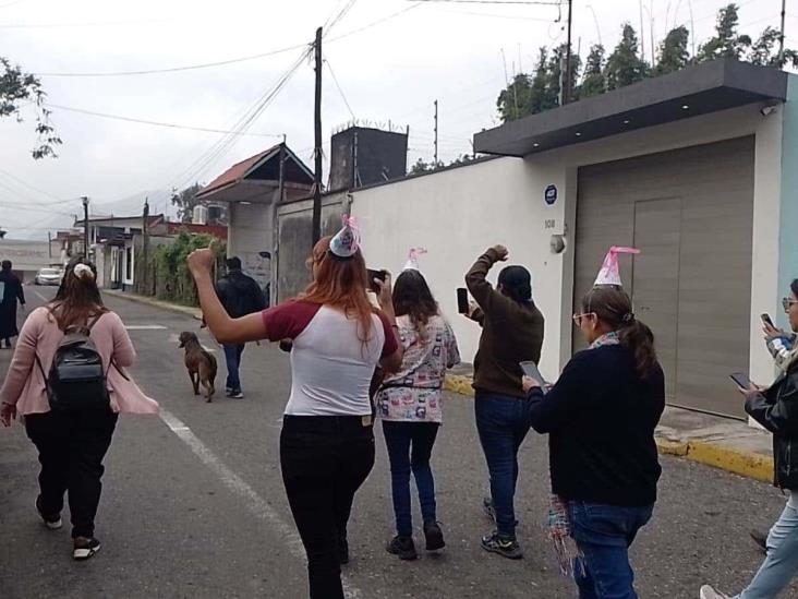 Goliat, perrito que iba a ser sacrificado, regresa a casa en Orizaba tras batalla legal (+Video)