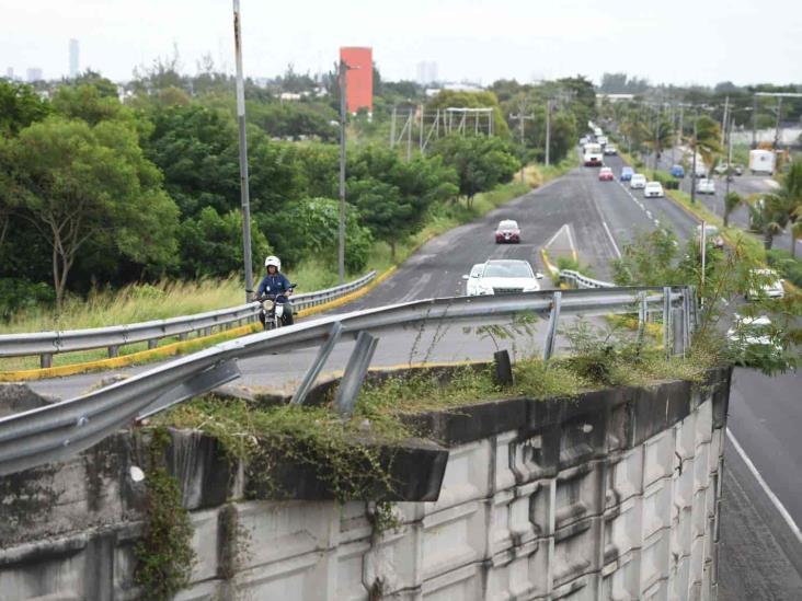 Distribuidor Vial De J.B. Lobos, Un Constante Peligro Para Automovilistas