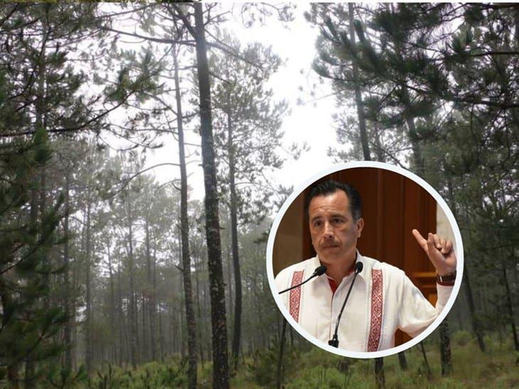 Gobernador decreta área natural protegida a “La Cortadura” en Coatepec