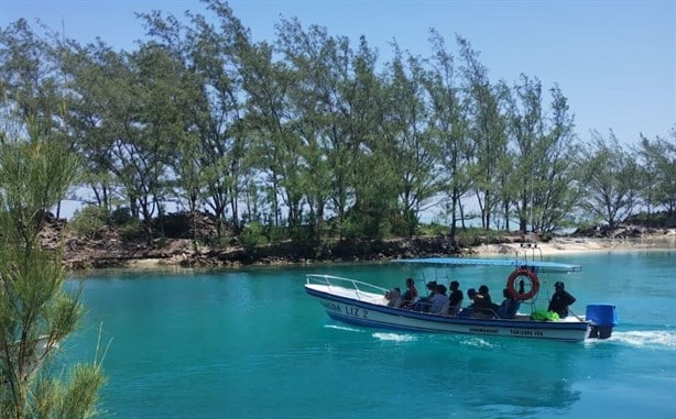 Cierran acceso a la Isla Lobos tras detección de gripe aviar