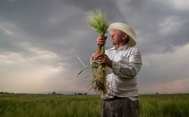 México es líder mundial en producción de alimentos ¿Sabes con qué productos?
