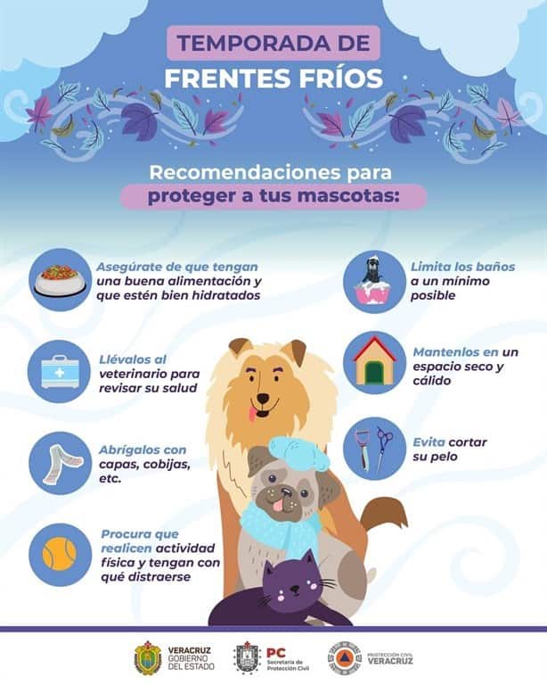 Esto recomienda Protección Civil para cuidar a tus mascotas del frío