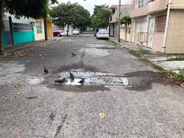 Vecinos exigen a Grupo MAS reparar 12 fugas de aguas en Lomas del Coyol, en Veracruz