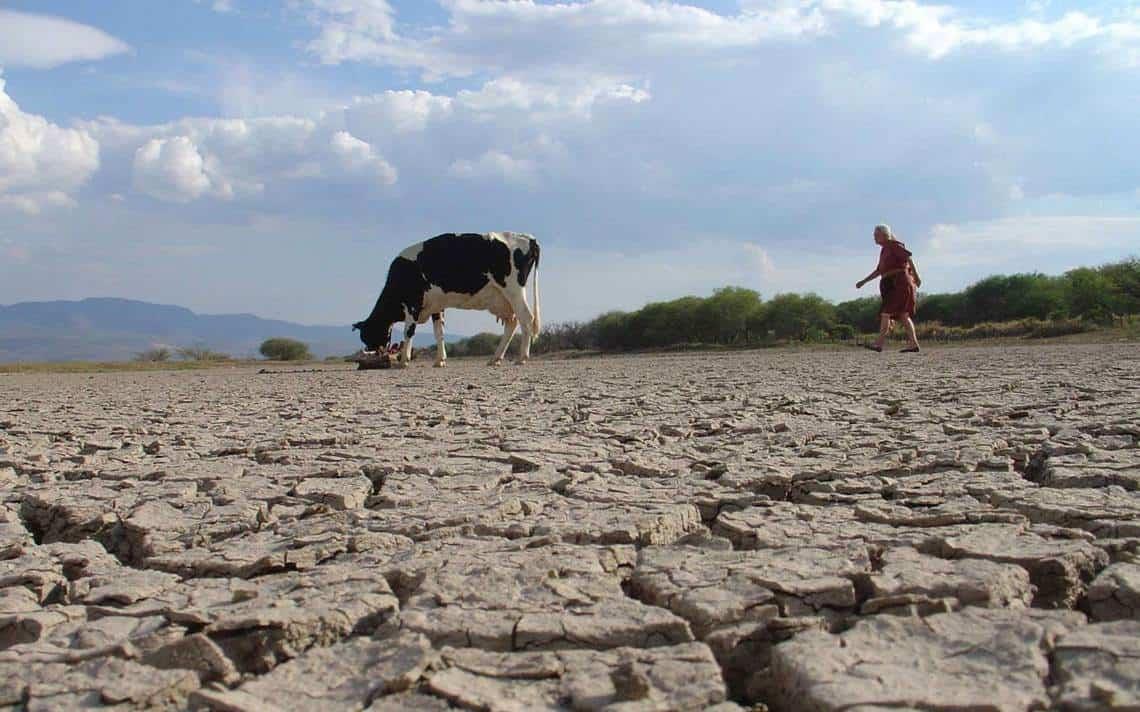 2023, el año más seco que se tenga registro en Veracruz
