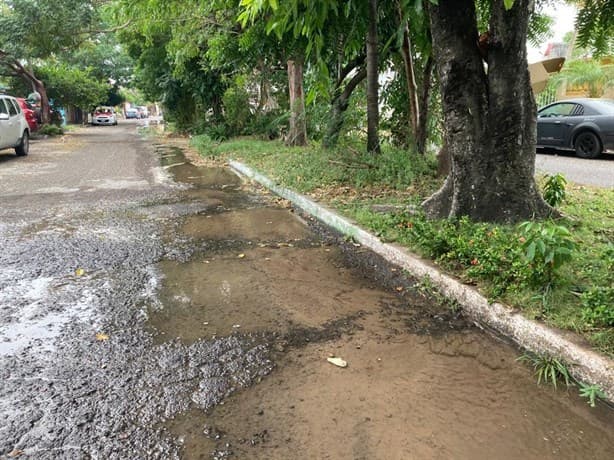 Vecinos exigen a Grupo MAS reparar 12 fugas de aguas en Lomas del Coyol, en Veracruz