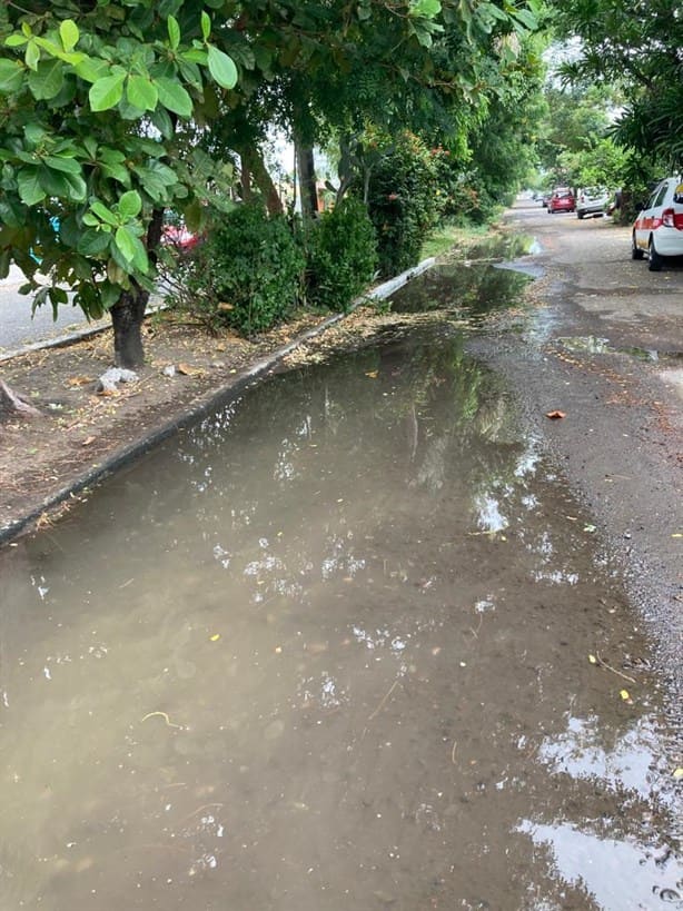 Vecinos exigen a Grupo MAS reparar 12 fugas de aguas en Lomas del Coyol, en Veracruz