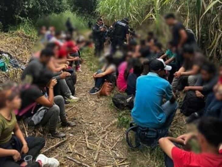 Interceptan a 72 migrantes en un cañal en la carretera Xalapa - Actopan