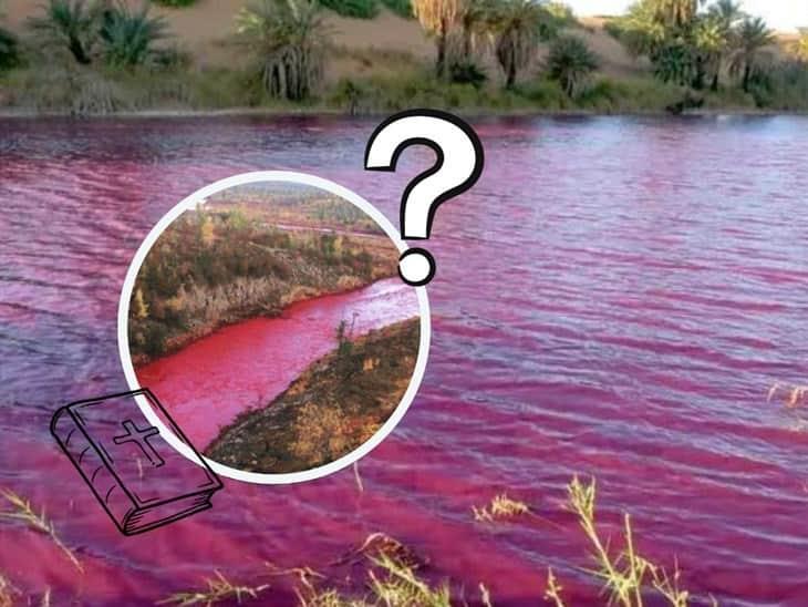 El Río Nilo se tiñe de rojo ¿qué hay de cierto? 