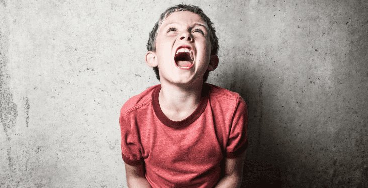 ¿Que hacer si tu hijo te grita?