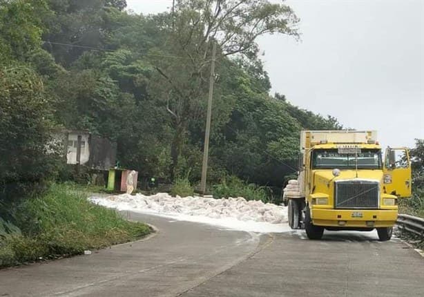 Camión de plataforma pierde carga de cal en carretera estatal