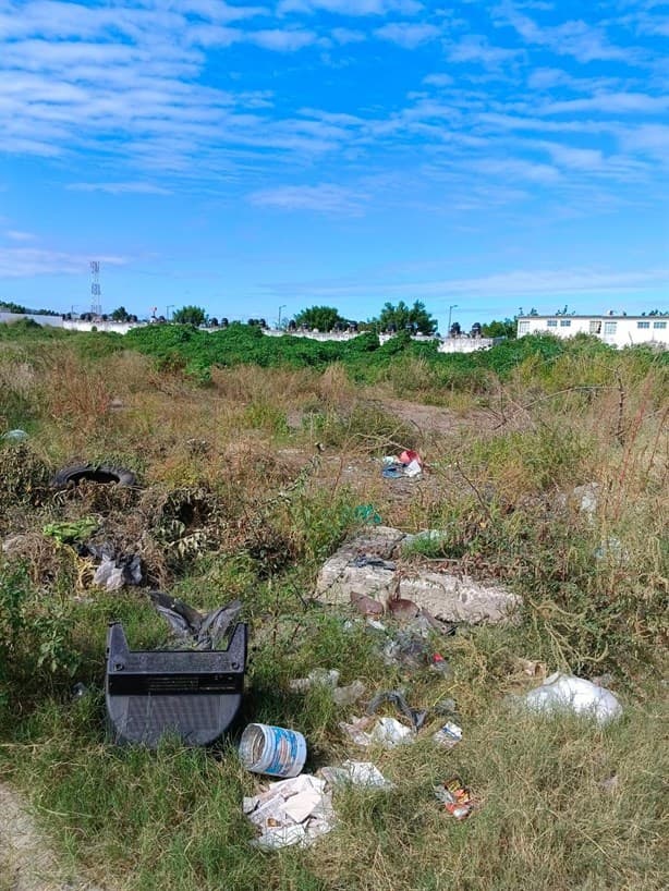 Denuncian basureros clandestinos en el norte de la ciudad de Veracruz