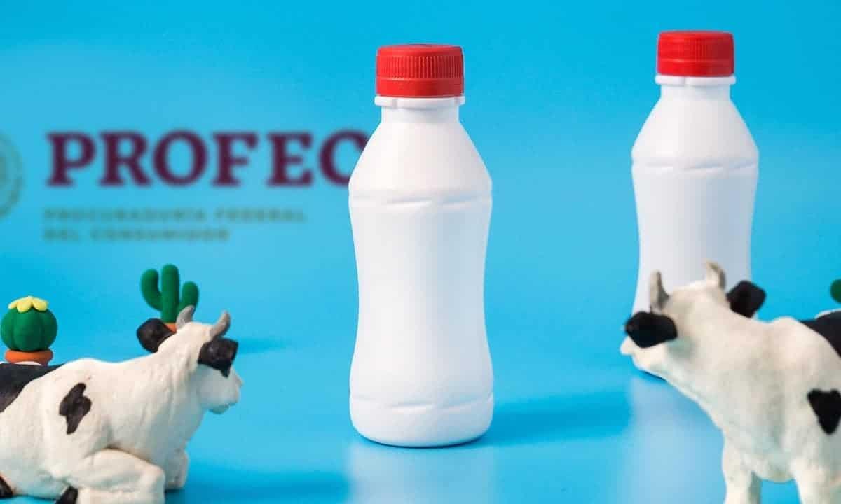 Esta es la leche con más proteína, según Profeco