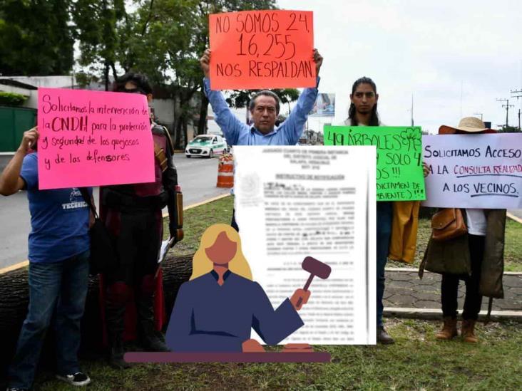 Denuncian a activistas por oponerse al paso elevado de Xalapa