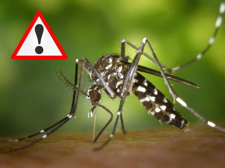 Aumento de casos de dengue encienden las alertas en México