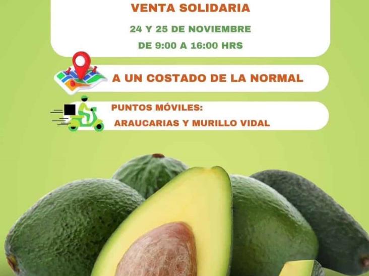 Promueven venta de aguacate veracruzano, directo de productores, checa esto