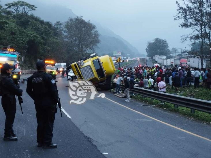 Vuelca camión cargado de frutas y verduras en la Puebla-Orizaba; se desata rapiña (+Video)