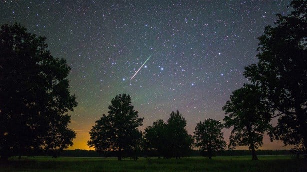 Leónidas 2023: dónde ver online la lluvia de estrellas si te perdiste el punto máximo