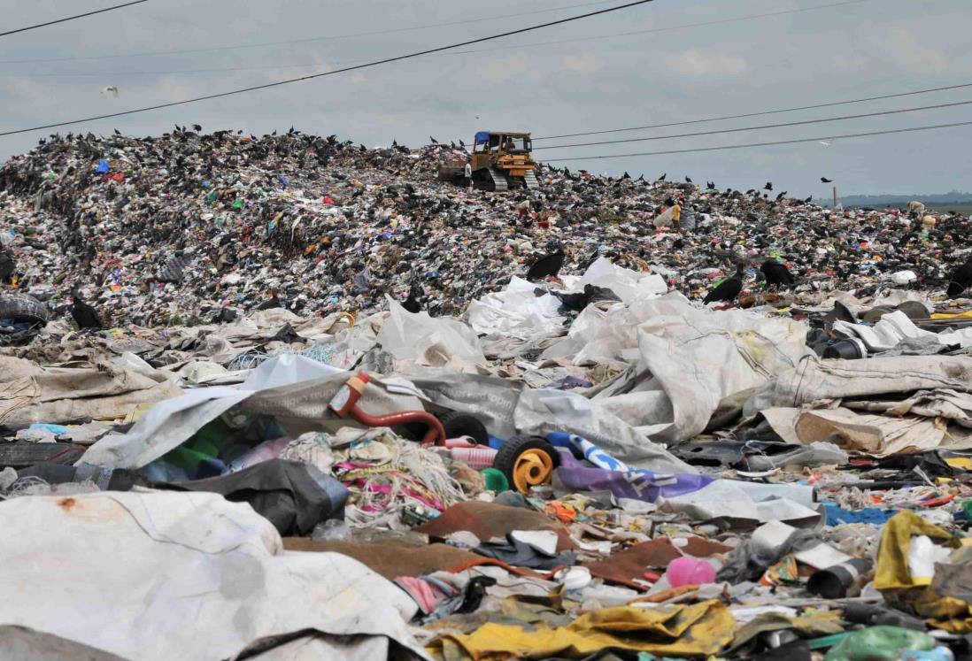 Solo 6 municipios de Veracruz tienen buen manejo de residuos sólidos: PMA