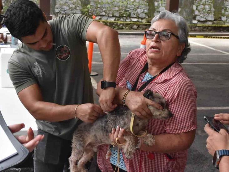 Asociaciones rescatistas lucran con animales, acusa funcionaria de Orizaba