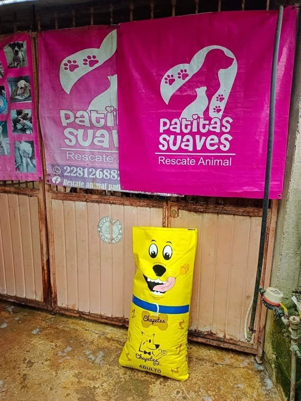 Refugio animal ‘Patitas Suaves Xalapa’, en riesgo de cerrar; así puedes evitarlo